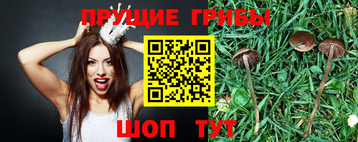 Псилоцибиновые грибы мухоморы Симферополь