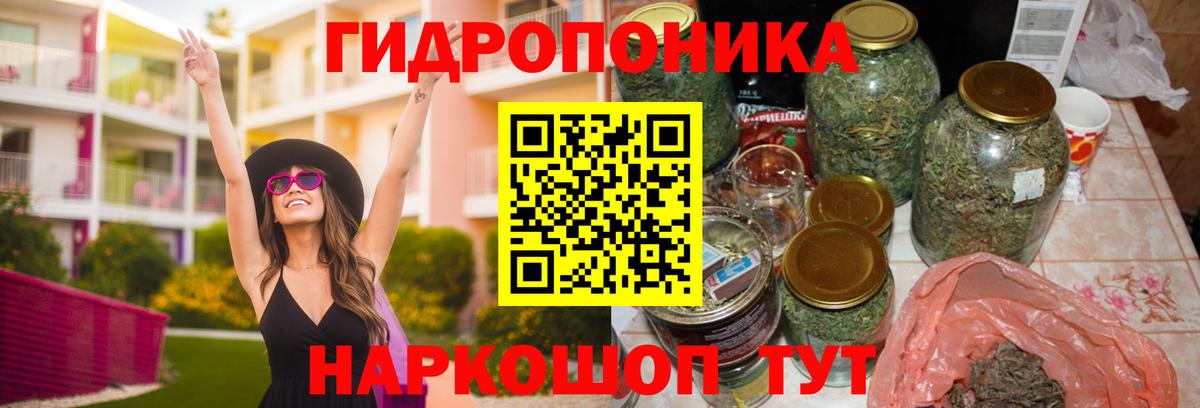 Бошки Шишки Amnesia Симферополь
